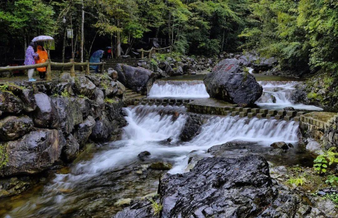 逃离阴森的岛屿