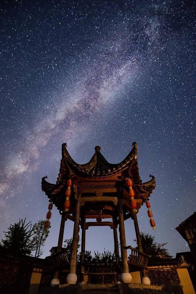 宠物世界聚会